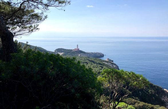 Capri, trasporti marittimi