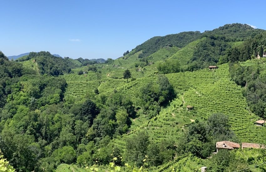 COLLINE DEL PROSECCO: INSEDIATO COMITATO TECNICO SCIENTIFICO