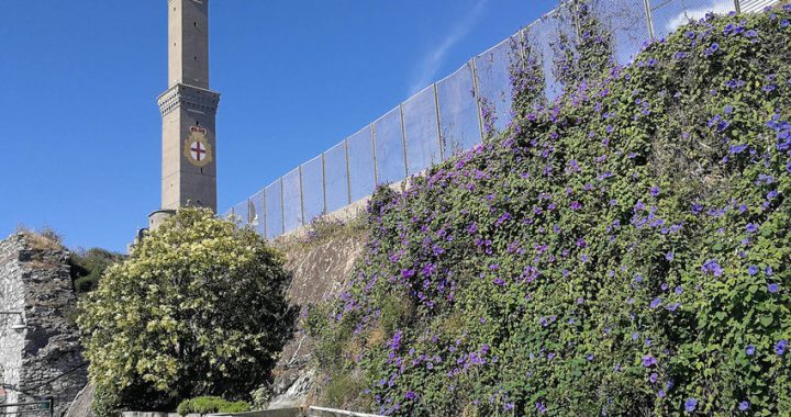 Lanterna di Genova