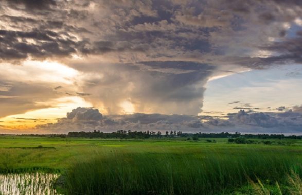 Uragano Hanna: Texas e Messico in allerta