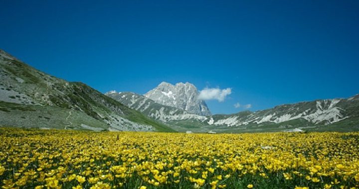 Vacanze d'estate: spopolano gli agriturismi abruzzesi