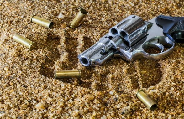 Trovare una pistola è sufficiente per morire (a due anni)