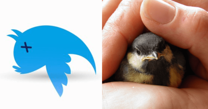 Twitter