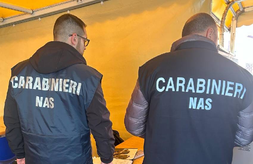 Sospesa l’attività di una cantina in provincia di Latina dopo l’ispezione del NAS