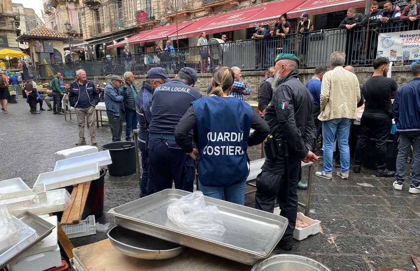 Catania, controlli alla Pescheria: sanzioni a raffica e sequestri. In una vasca, calamari ‘ravvivati’ con la candeggina