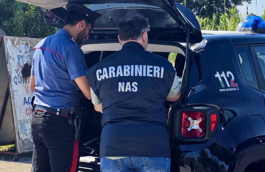 Il NAS sequestra 5 tonnellate di miele di un’azienda pontina per gravi careze igienico sanitarie