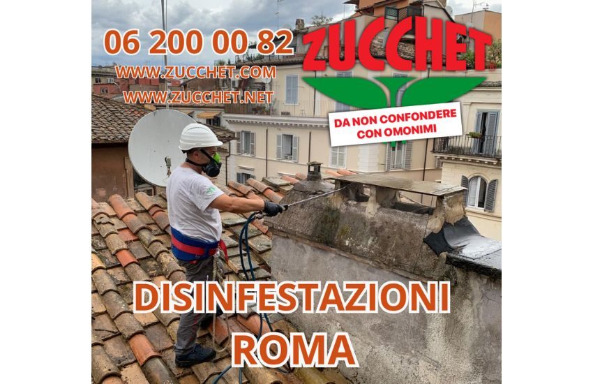 Disinfestazioni Roma: Come Proteggere la Tua Casa dagli Insetti e Parassiti