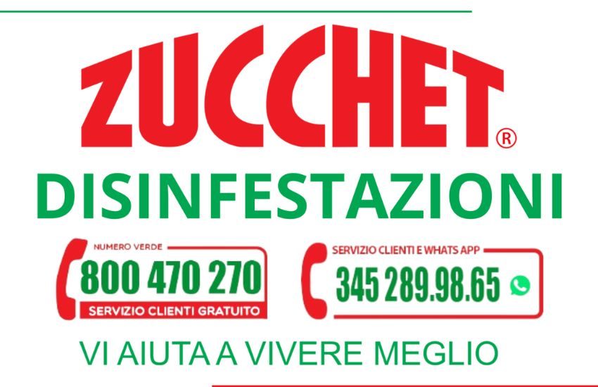 Zucchet Service disinfestazioni Roma: Un punto di riferimento nella disinfestazione