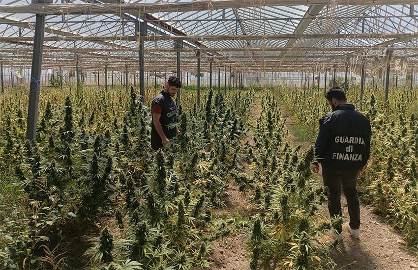 Sardegna: marijuana per 50 milioni di euro sequestrata a San Giovanni Suergiu