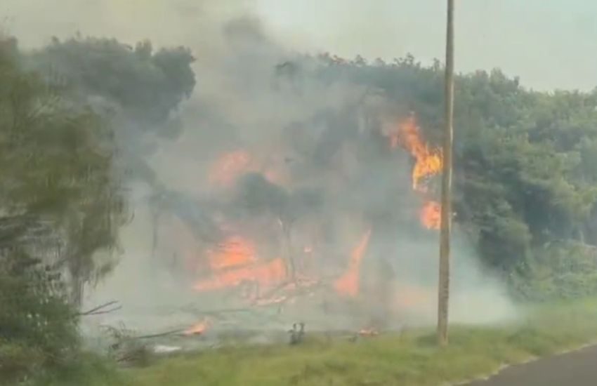Vieste, incendio devasta bosco: evacuati 1200 turisti (VIDEO)