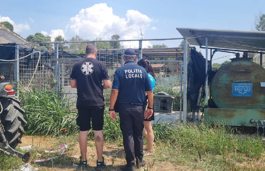 Cani tenuti in condizioni terribili: il sequestro della Polizia Locale di Latina