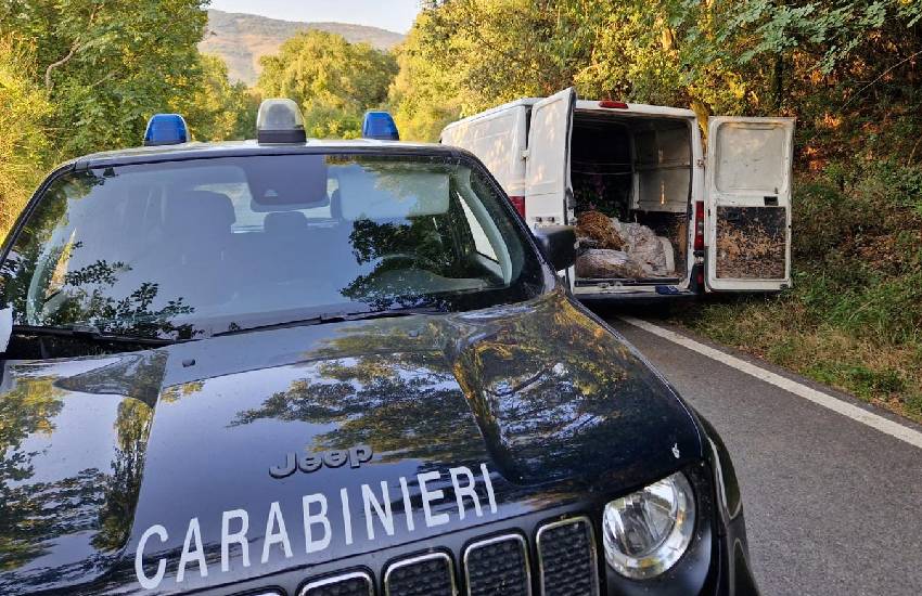“Pizzicato” dai carabinieri mentre abbandona dei rifiuti: 68enne denunciato e multato in provincia di Latina