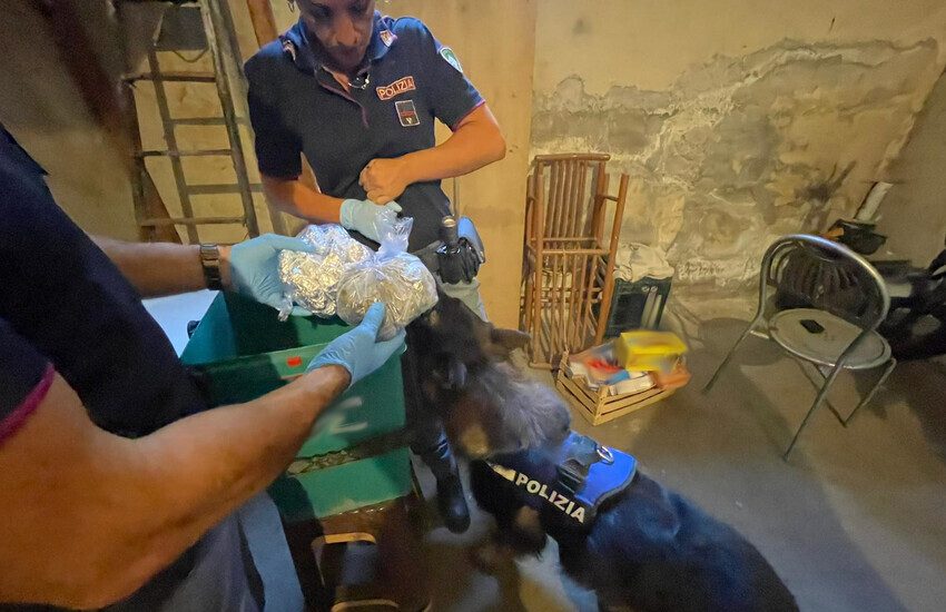 Catania, via Fossa della Creta: i cani poliziotto trovano oltre 7 kg di marijuana: arrestato 22enne