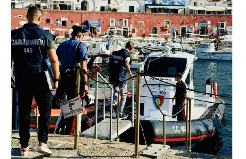 NAS all’opera sull’isola di Ponza: multe per 24mila euro a ristoranti e farmacie. Sequestrate 2 tonnellate di alimenti