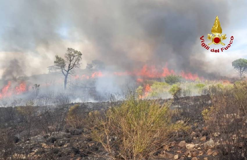 Vasto incendio in provincia di Latina: in fumo 90 ettari di vegetazione. Spegnimento ancora in corso