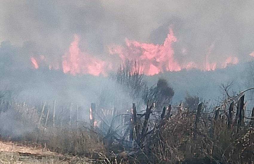 Incendio manda in fiamme una cabina della TIM. Sezze resta senza connessione internet