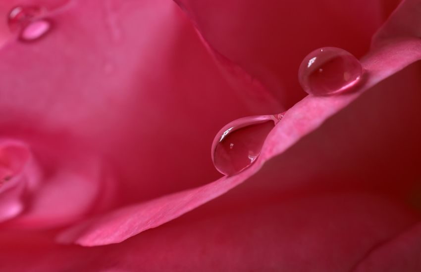 Il curioso caso di Mr R.: dopo il sesso vede gli oggetti luminosi e tutti colorati di rosa