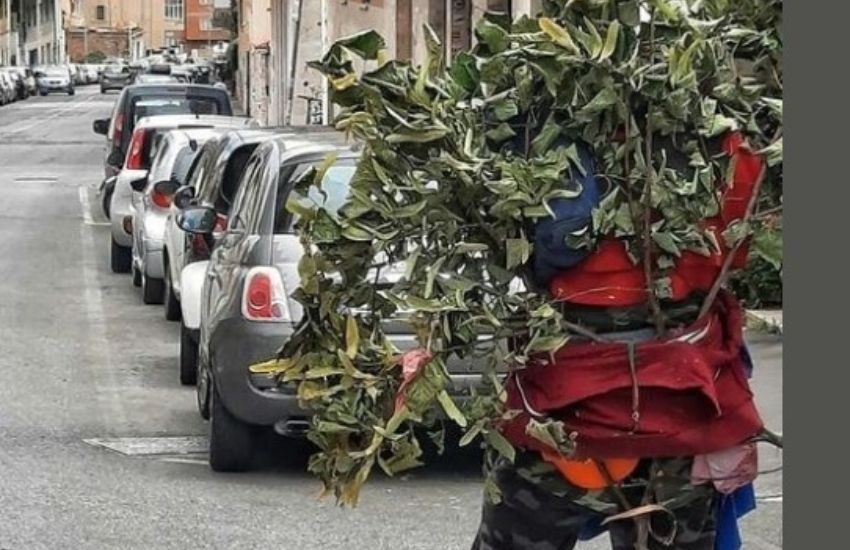 Roma, aggrediscono l'”uomo albero” che terrorizza e molesta i passanti