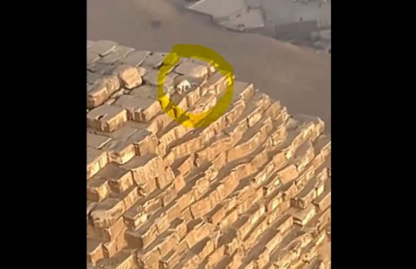 Mistero e sconcerto in Egitto: c’è un cane in cima alla Piramide di Giza, come ci è arrivato? [VIDEO]