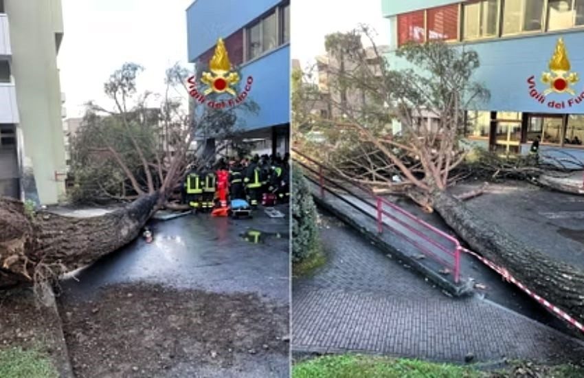 Fisciano, cade albero nell’università: 5 studenti feriti, uno è grave