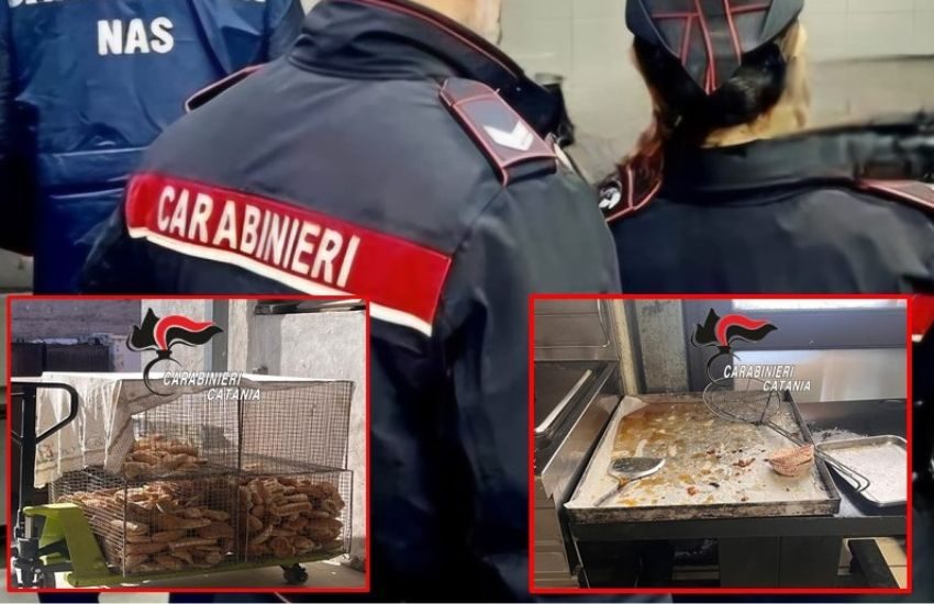 Giarre, carabinieri scoprono panificio in pessime condizioni igienico – sanitarie: sospesa l’attività