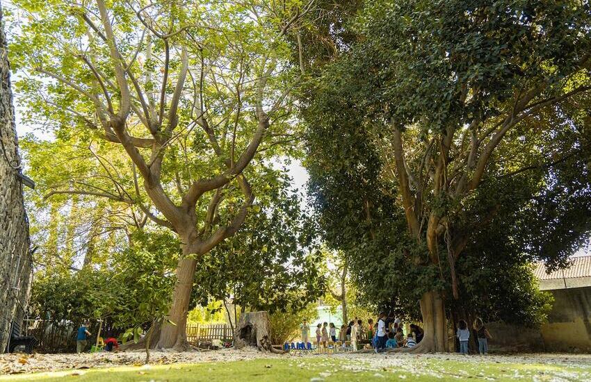 Atelier nel Bosco, a Catania il primo asilo gratuito per bambini disabili