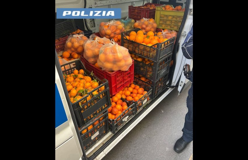 Catania, maxi sequestro di 2 tonnellate di agrumi prive di tracciabilità, sanzioni per 11 mila euro