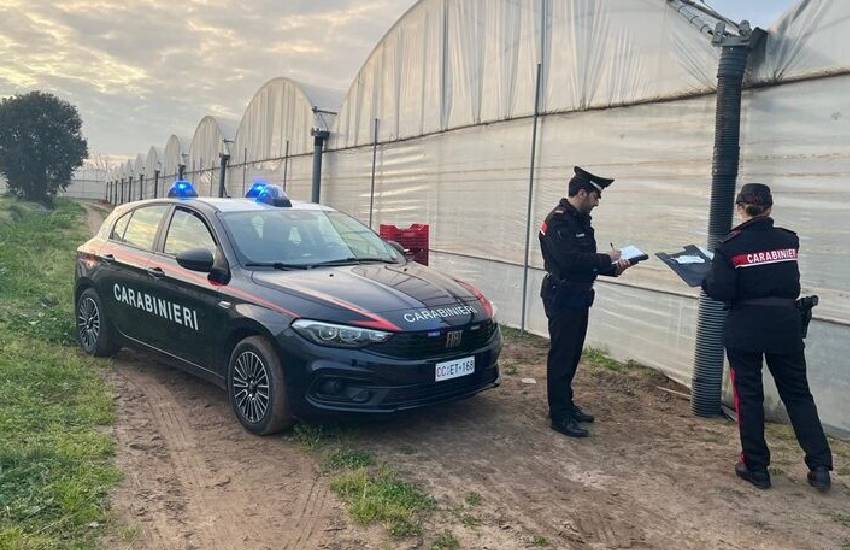 Tragedia nei campi: bracciante di 55 anni muore in una azienda agricola pontina