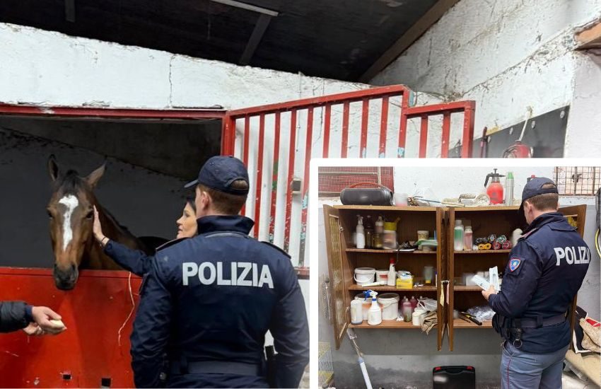 Controlli in 3 stalle nel quartiere San Cristoforo, sequestrati farmaci dopanti e salvati 5 cavalli destinati alle corse clandestine